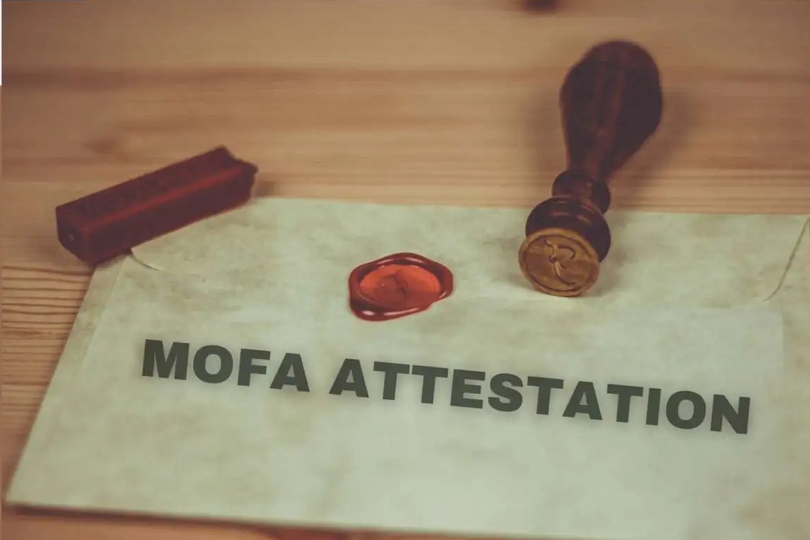 MOFA Consultation